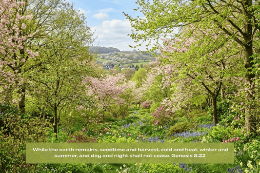 Springtime